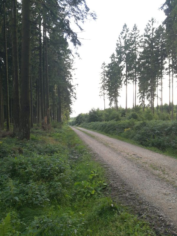 Ausfahrt kurz 1h