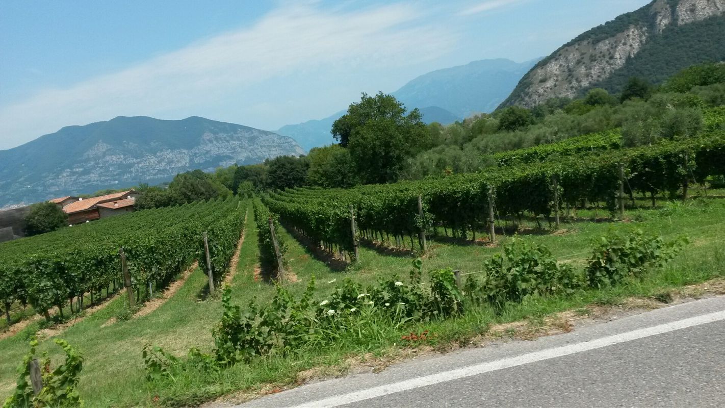 cascina clarabella- brescia