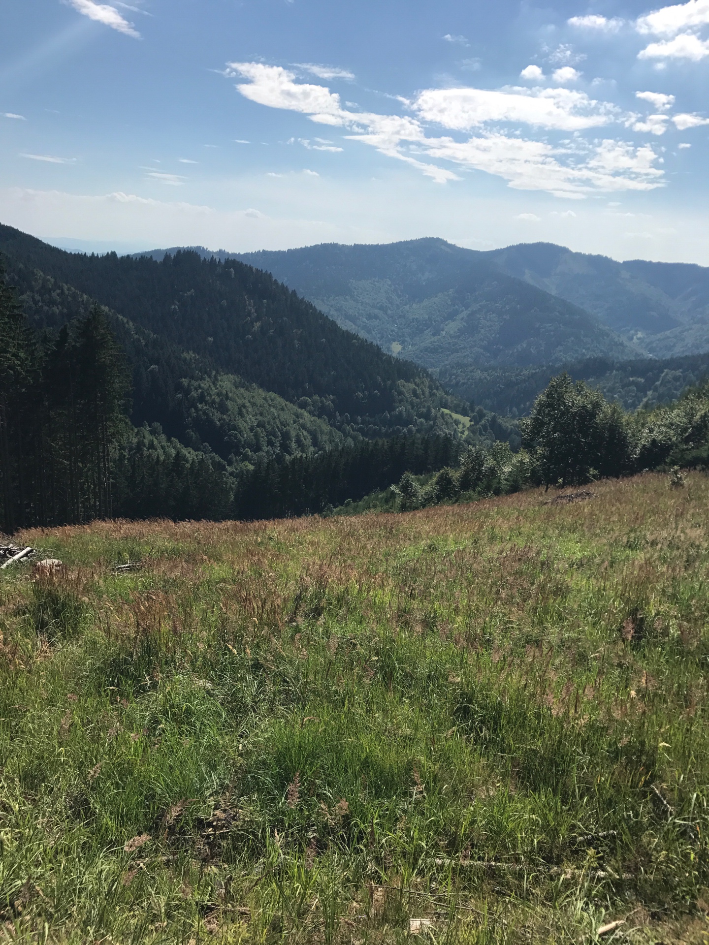 Highlight 5 along the Bikemap route "Bytca - Petrovice - Zavora - Stiavnik - Bytca"