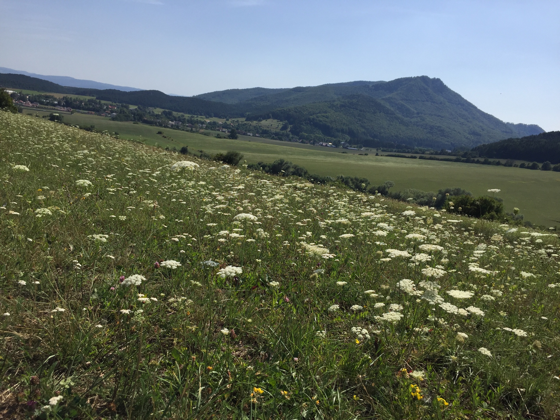 Hebe Bild 1 entlang der Bikemap-Route "2.športové Valča" hervor Hebe Bild 1 entlang der Bikemap-Route "2.športové Valča" hervor