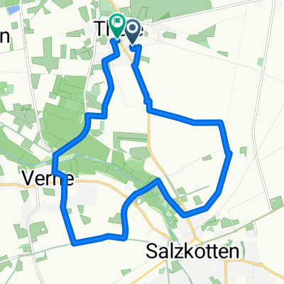 salzkotten verne