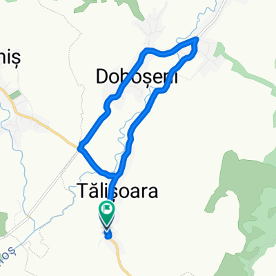 D1 - loop Talisoara-Bradut-Doboseni-Talisoara