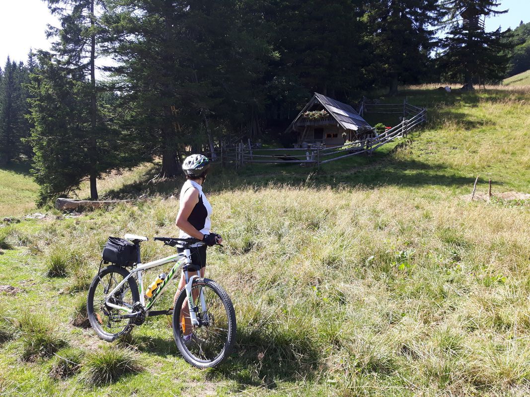Odcep Bistra_Pudgarsko-Bela Peč-Bistra