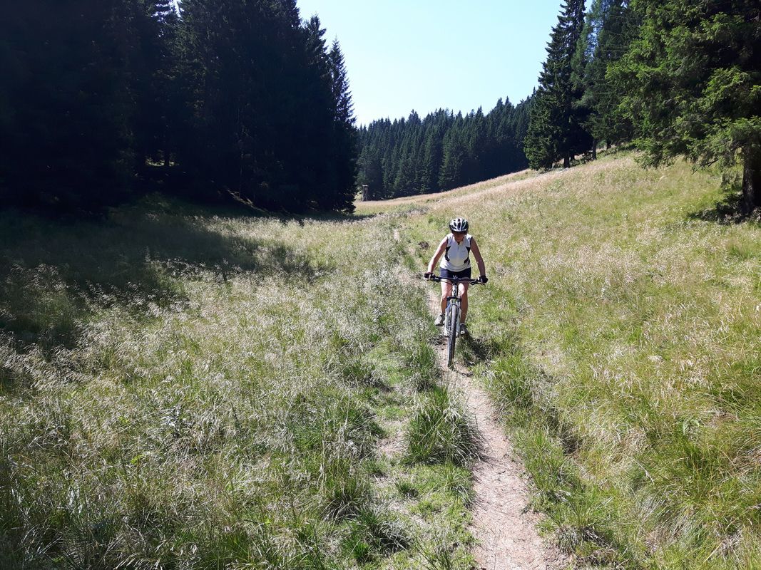 Odcep Bistra_Pudgarsko-Bela Peč-Bistra
