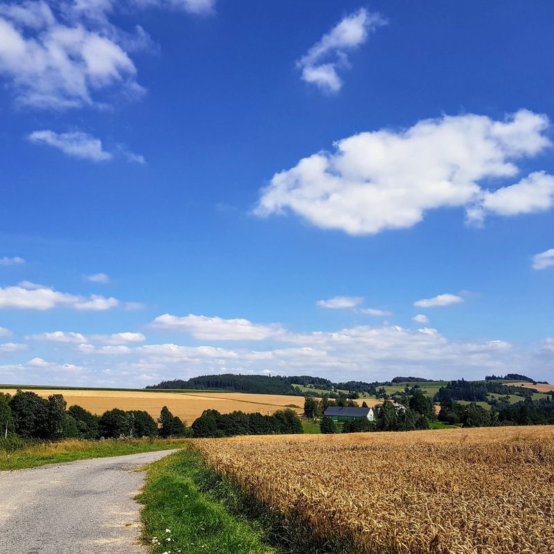 Líšná - Nové město na Moravě - Bystřice nad Pernštejnem - Tišnov