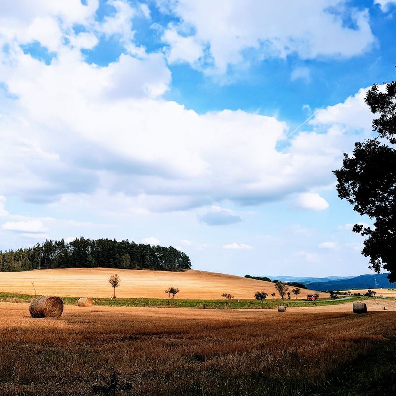 Líšná - Nové město na Moravě - Bystřice nad Pernštejnem - Tišnov