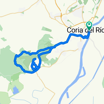 Coria , pinares de la puebla