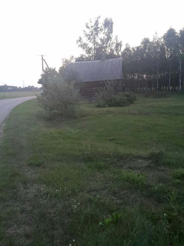 Obierwia