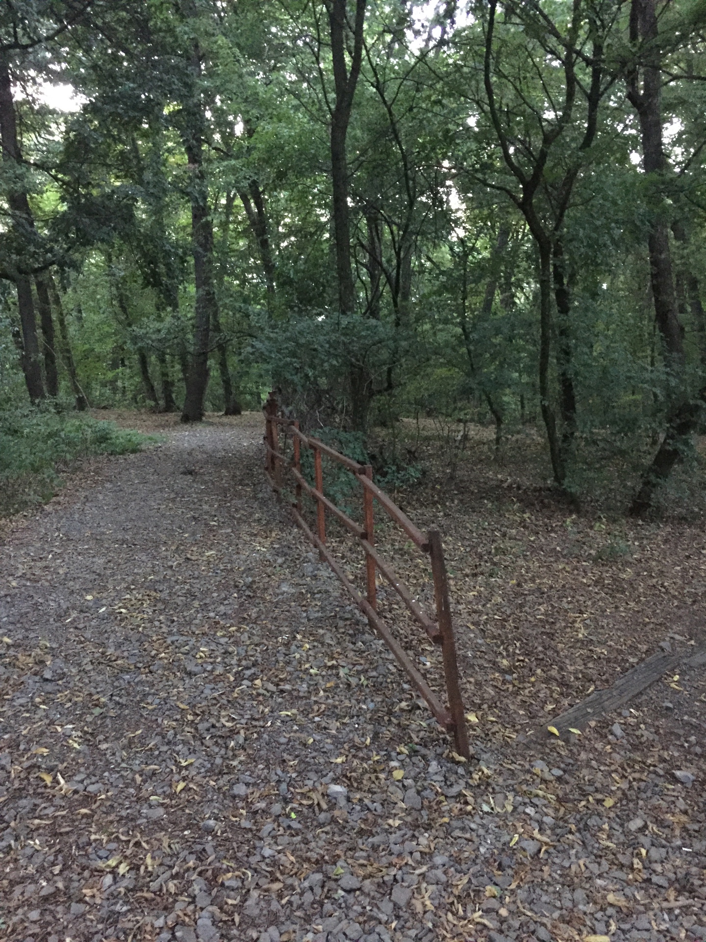 Hebe Bild 1 entlang der Bikemap-Route "EveningT" hervor