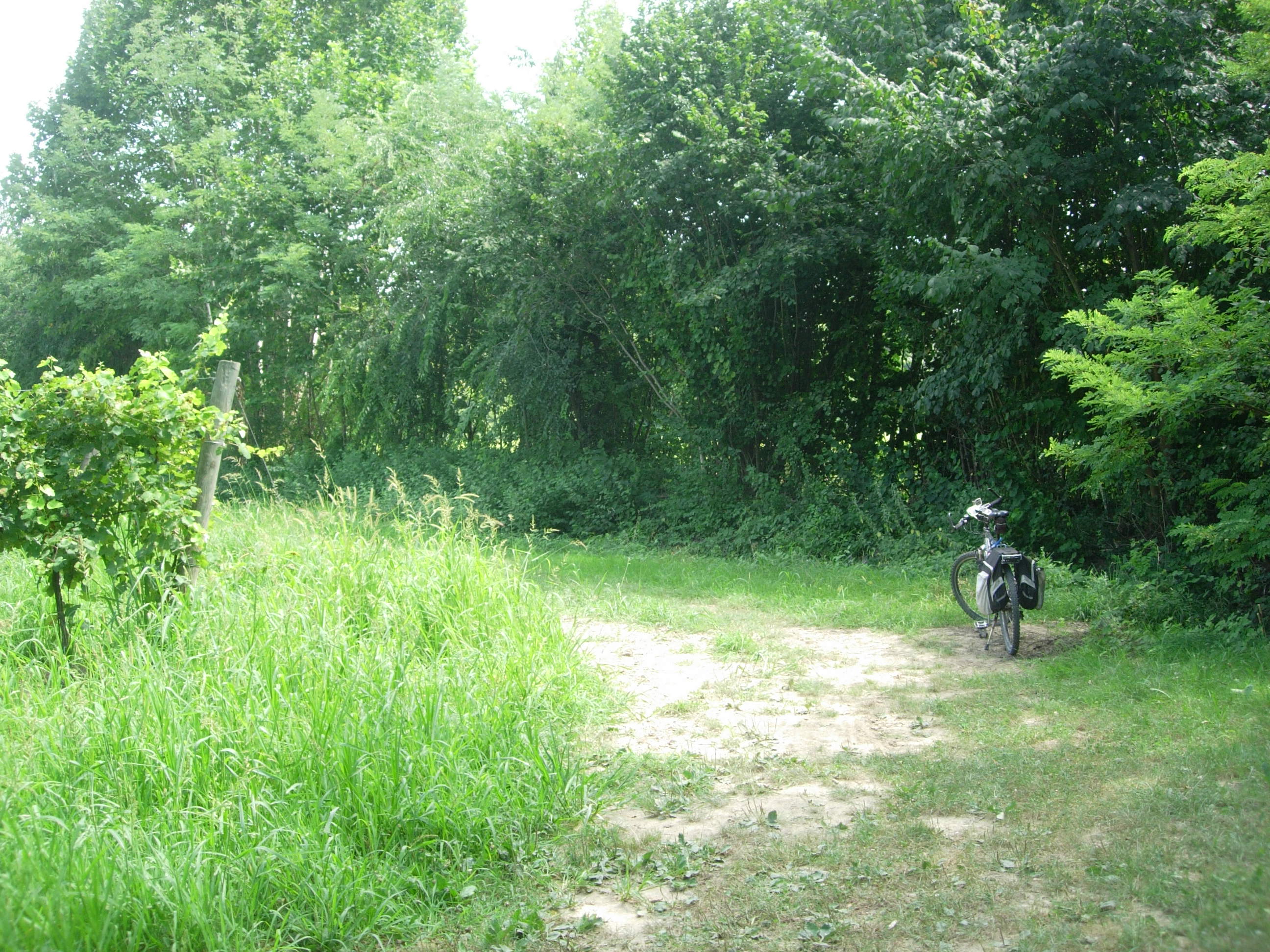 Hebe Bild 8 entlang der Bikemap-Route "IL FIUME MONTICANO PRIMA PARTE - DALLE SORGENTI A CONEGLIANO" hervor