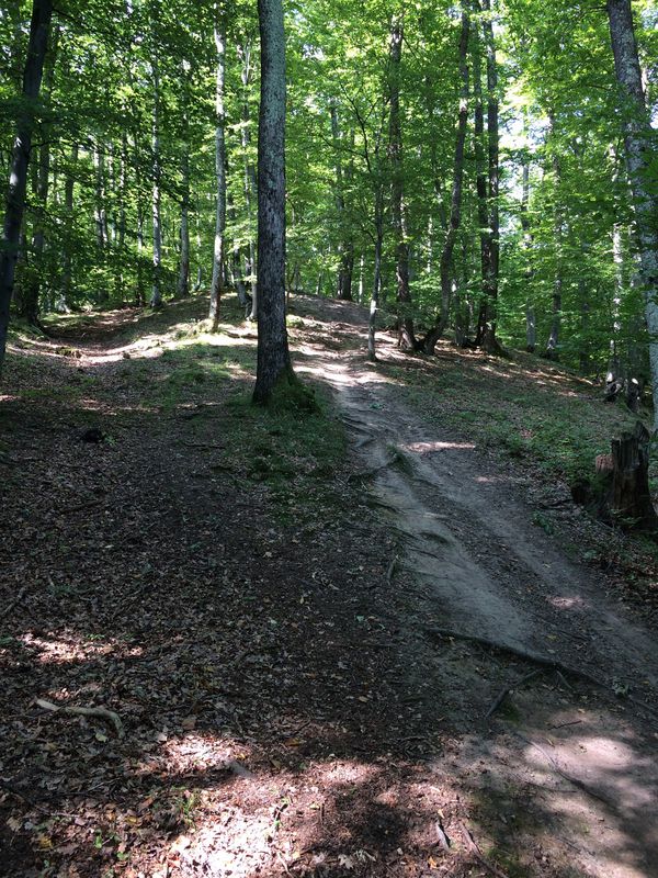 Cisnădie XCO 2017