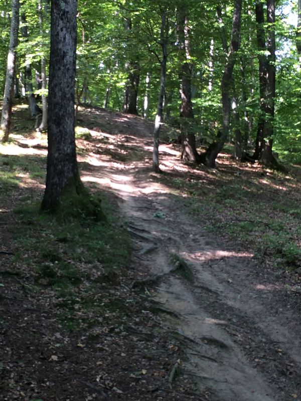 Cisnădie XCO 2017