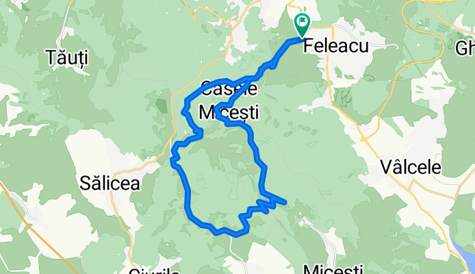 Feleacu-Casele Micesti-Lacul Micesti-Feleacu