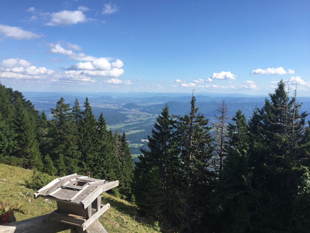 Lambergh To  Dobrica