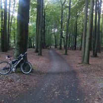 2017 Staw Barbara Janina