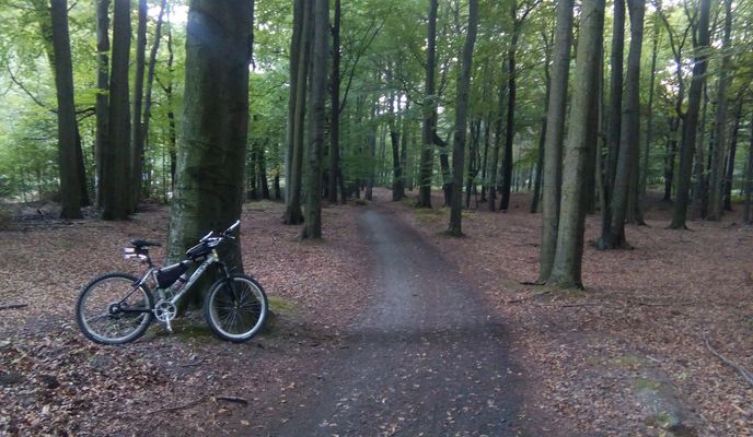 Foto 1 der Bikemap-Route "2017 Staw Barbara Janina" Foto 1 der Bikemap-Route "2017 Staw Barbara Janina"