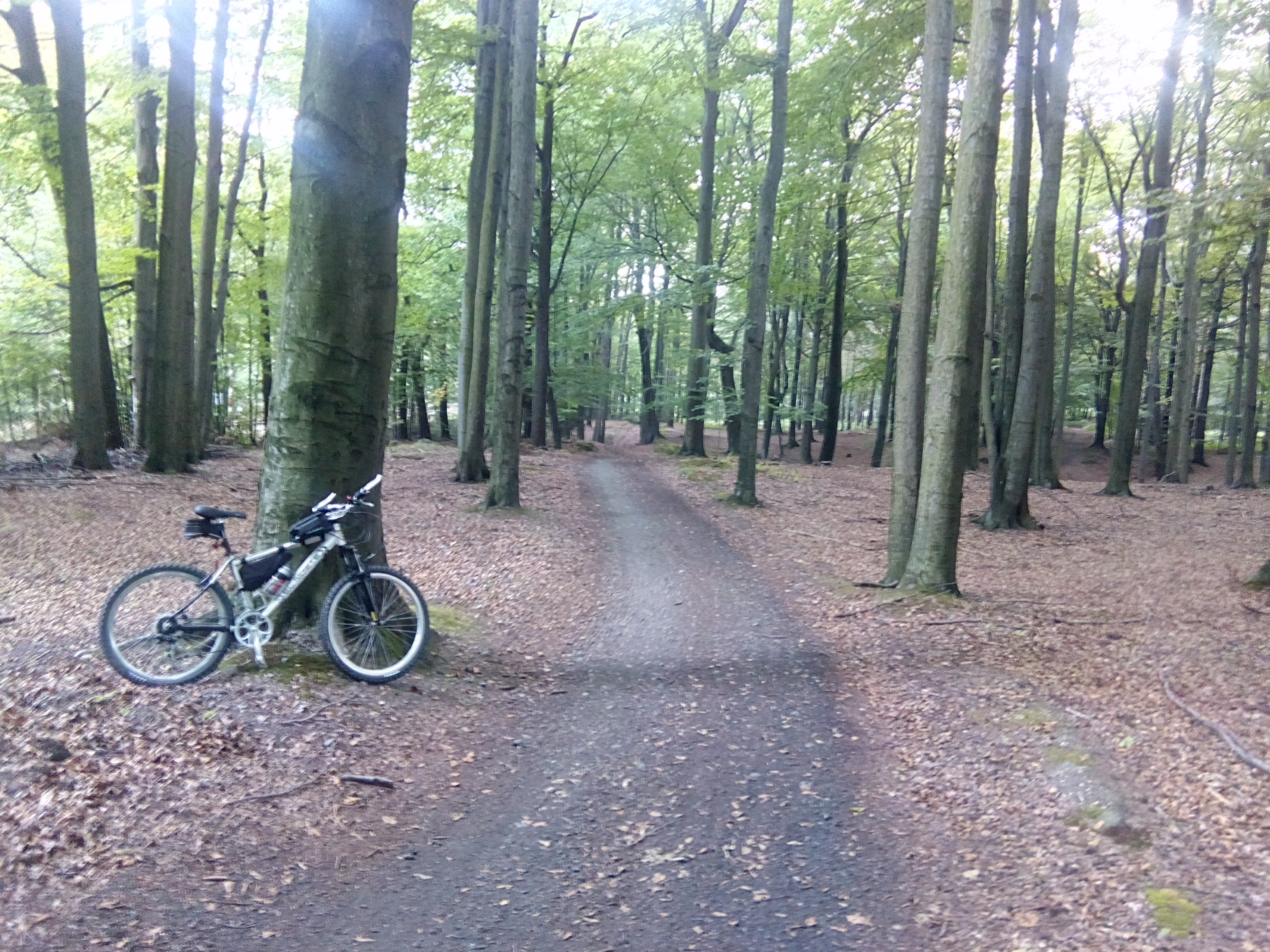 Hebe Bild 2 entlang der Bikemap-Route "2017 Staw Barbara Janina" hervor Hebe Bild 2 entlang der Bikemap-Route "2017 Staw Barbara Janina" hervor