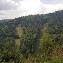 Foto 8 der Bikemap-Route "Martin (Kolónia Hviezda) - Saračníky - Strečno" Foto 8 der Bikemap-Route "Martin (Kolónia Hviezda) - Saračníky - Strečno"