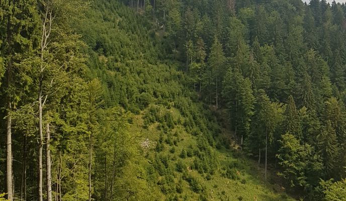 Foto 2 der Bikemap-Route "Martin (Kolónia Hviezda) - Saračníky - Strečno" Foto 2 der Bikemap-Route "Martin (Kolónia Hviezda) - Saračníky - Strečno"