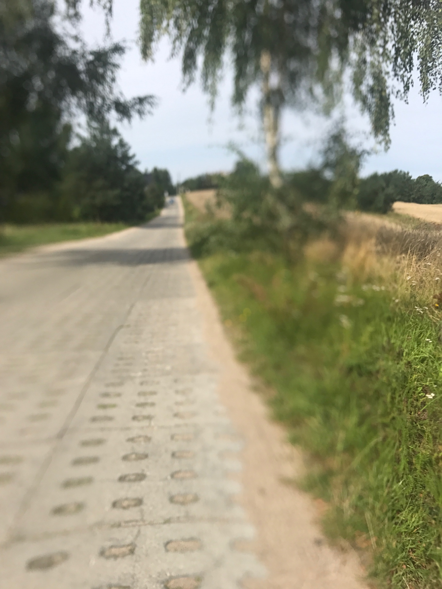 Highlight 1 along the Bikemap route "Leśne Dukty Koło Komina"