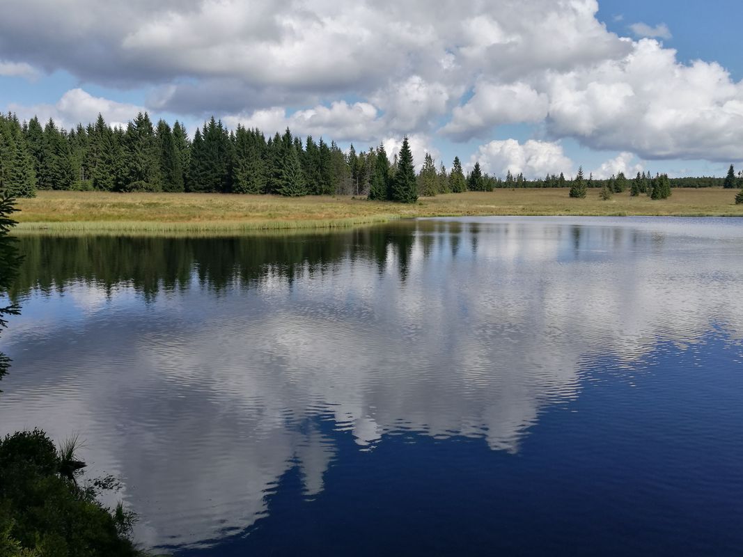 Den 1 - Plesivec - Pstruzi