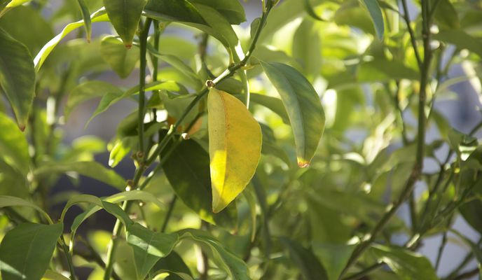 Foto 2 del percorso Bikemap "100th route ever" Foto 2 del percorso Bikemap "100th route ever"