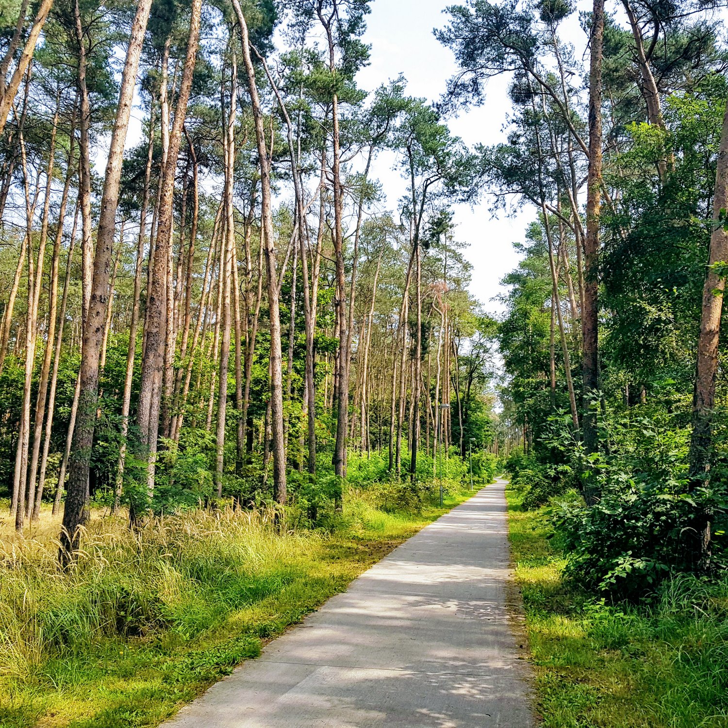 Od Aše po Jablunkov, den 4.: Praha, Černý Most - Pardubice
