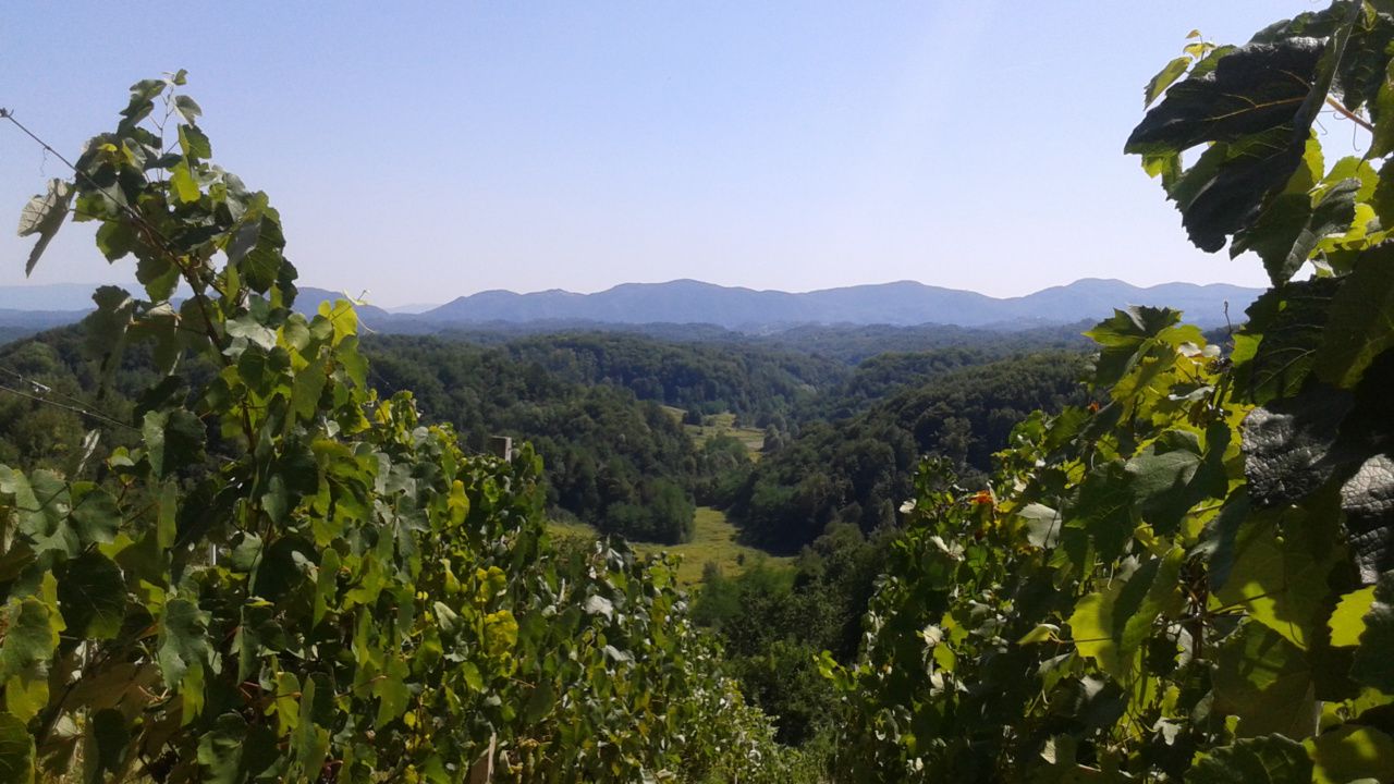 Vidikovcima Desinića
