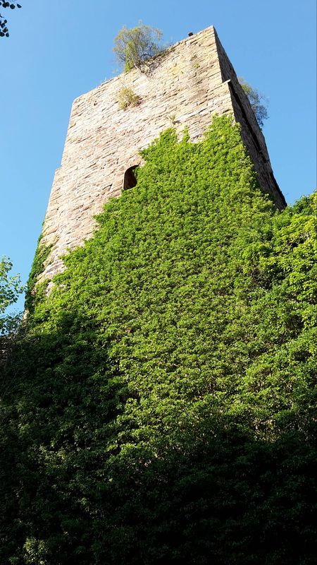 Heimsheim - Ruine Liebeneck - Heimsheim