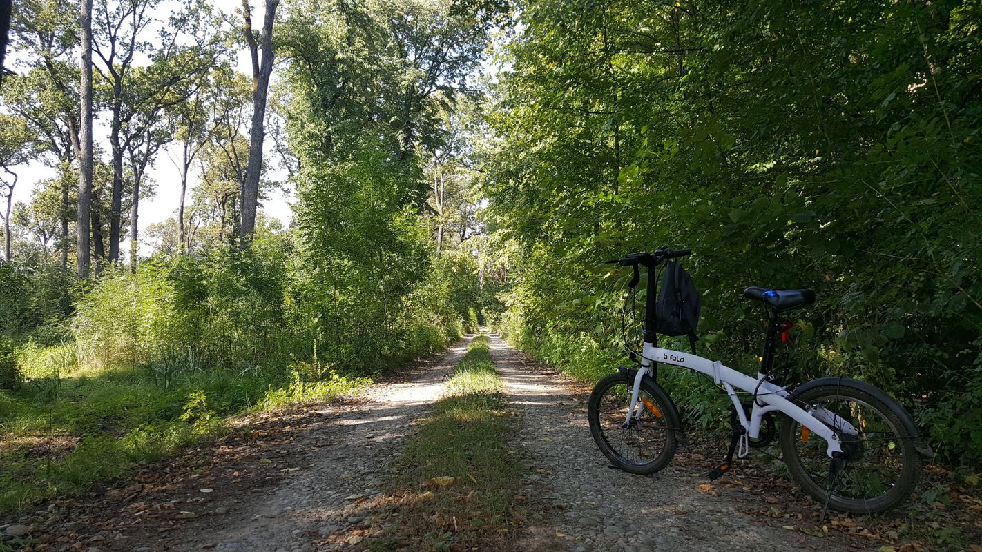 Padurea Snagov in recunoastere