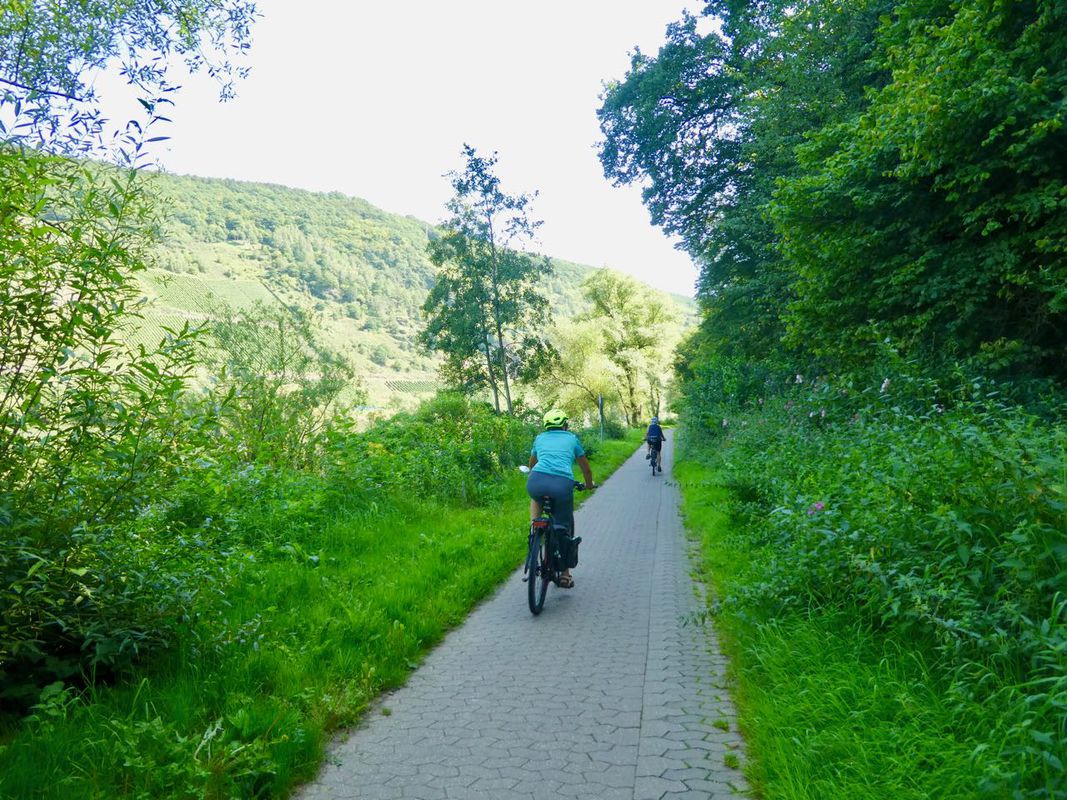 Von Enkirch nach Zell und über Reil wieder zurück 