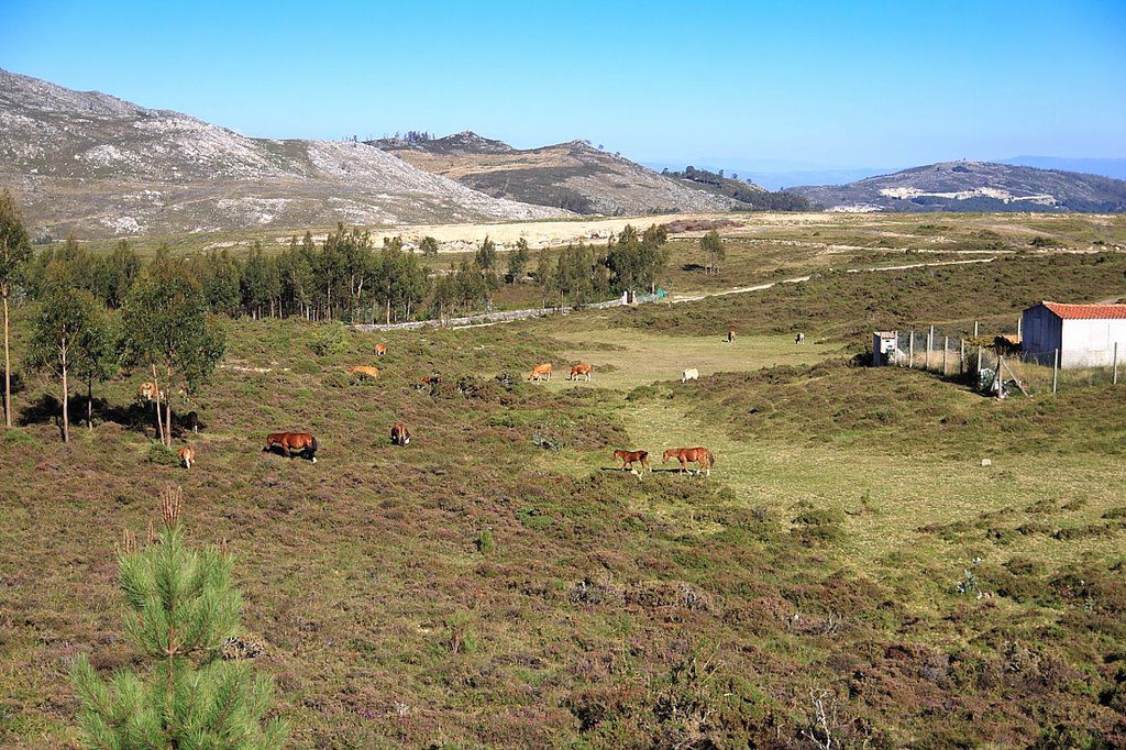 Combinado Sur de Pontevedra - Portugal