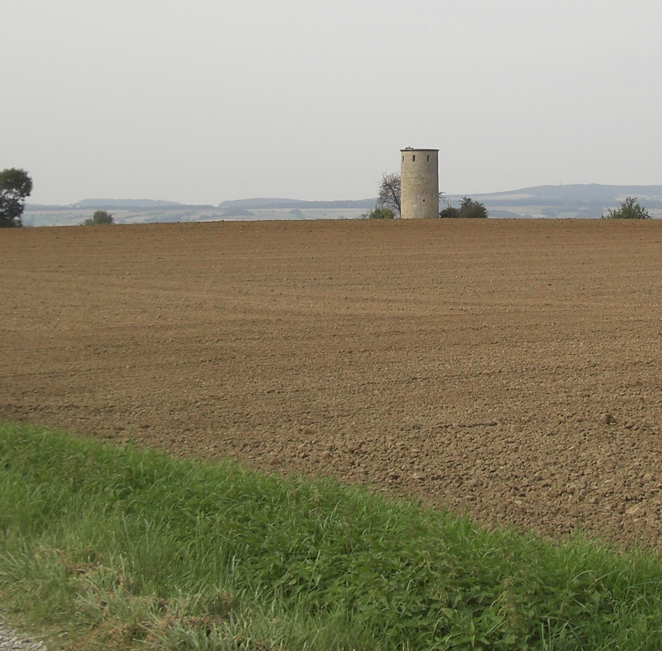 Hebe Bild 1 entlang der Bikemap-Route "2017-08-30 Geismar - Gartetal - Niedeck - Groß-Lengden - Klein Lengden - Diemardener Warte - Geismar" hervor