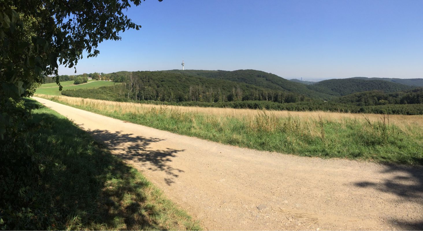 Augustiner- u Mostalmtrail über Sophienalpe