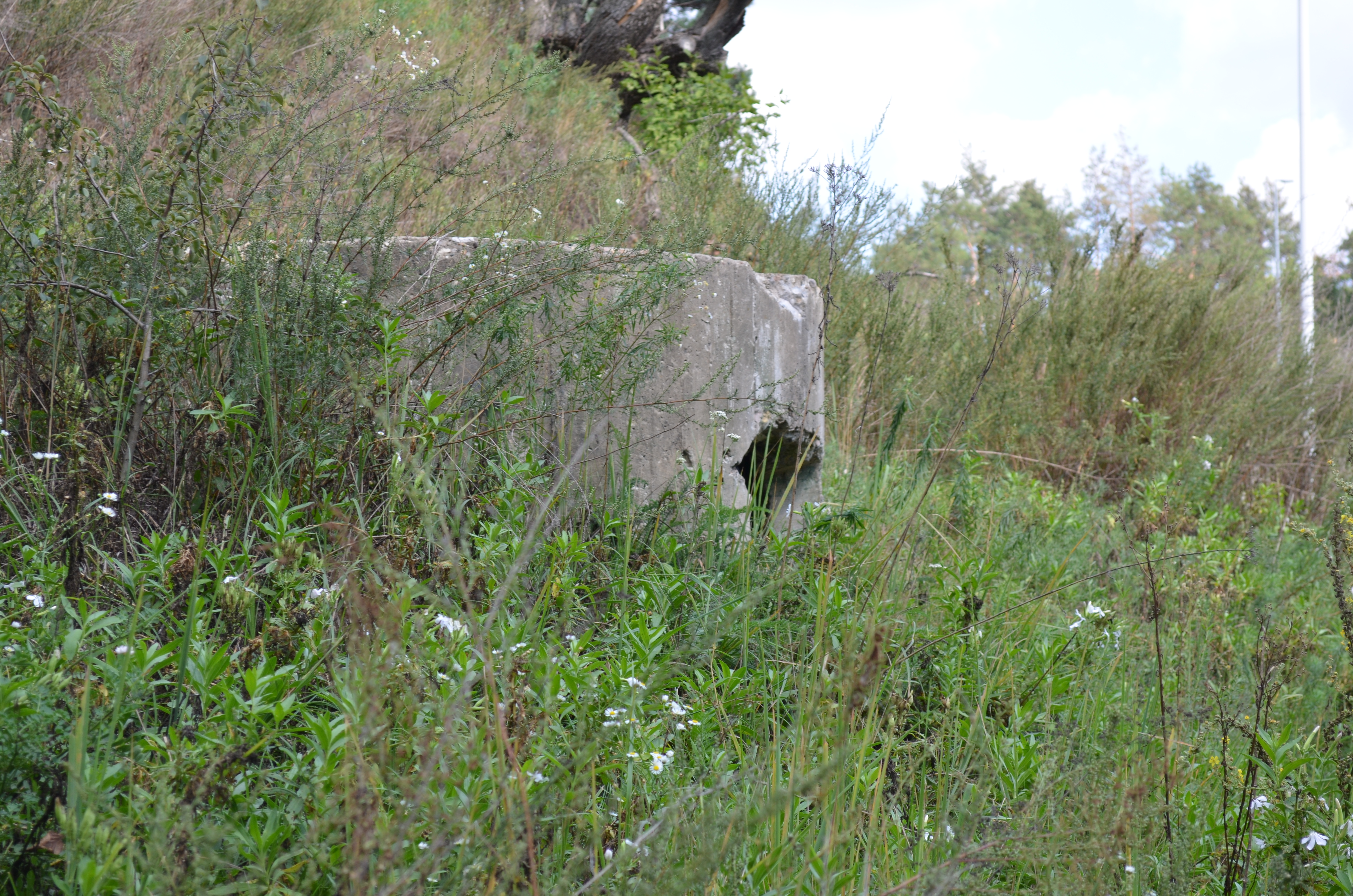 Highlight 2 along the Bikemap route "КиУР - ОП "Змеиные Валы""