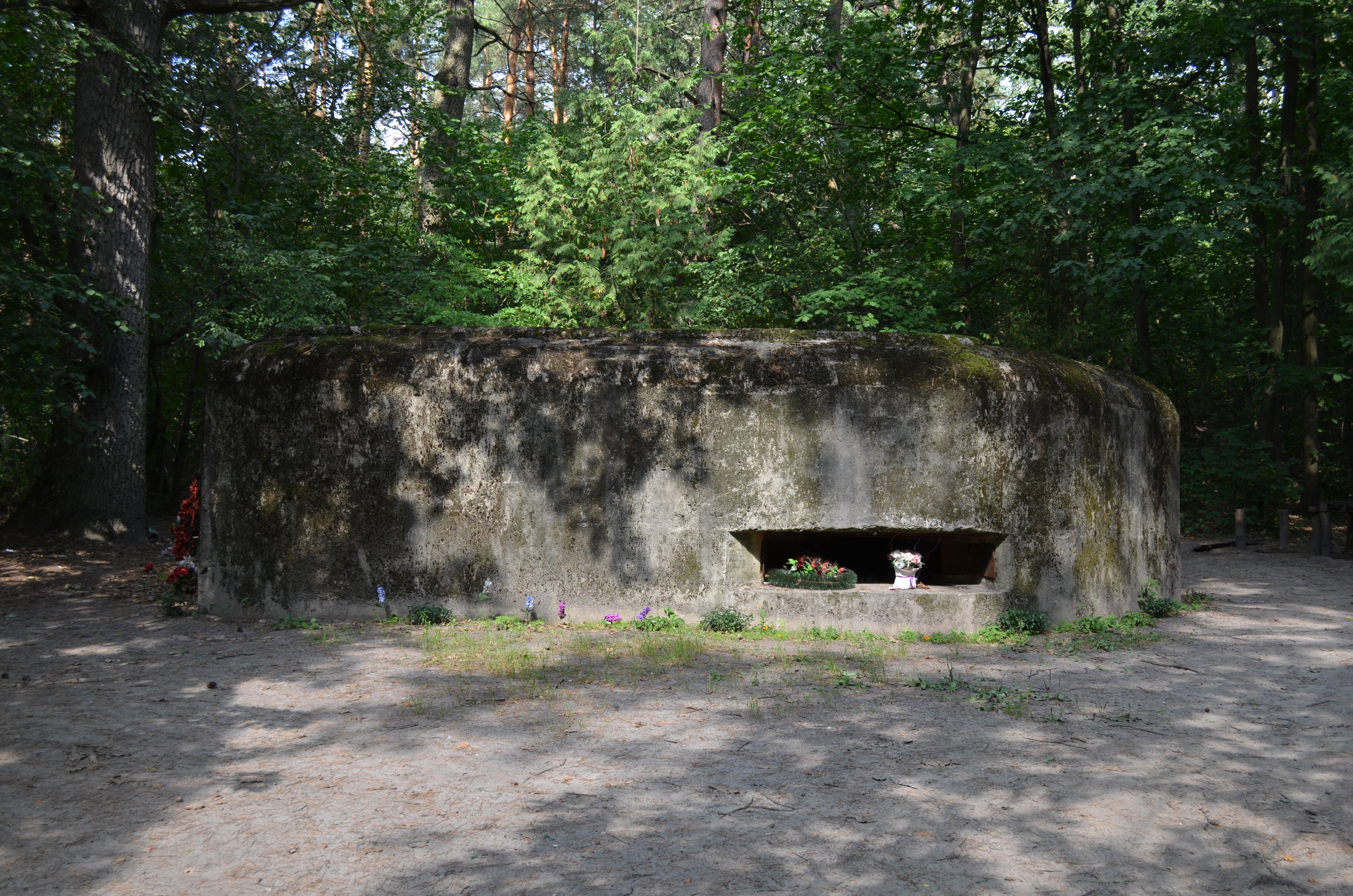 Highlight 4 along the Bikemap route "КиУР - ОП "Змеиные Валы""