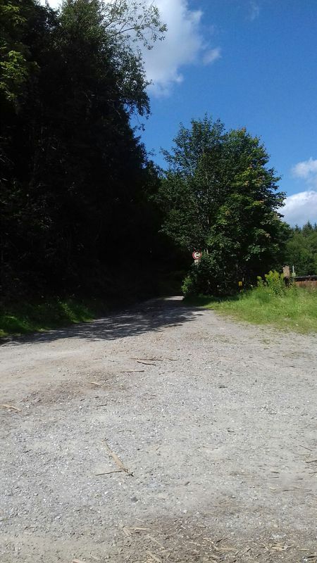 Ausfahrt durch Oberharz bei tanne