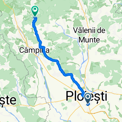 Ploiesti - Lacul Paltinu