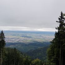 Martin, Kolónia Hviezda 62 - Martinské Hole