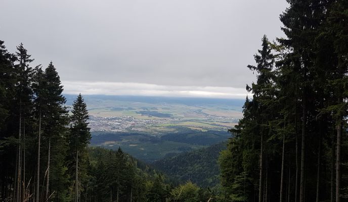 Foto 1 der Bikemap-Route "Martin, Kolónia Hviezda 62 - Martinské Hole"