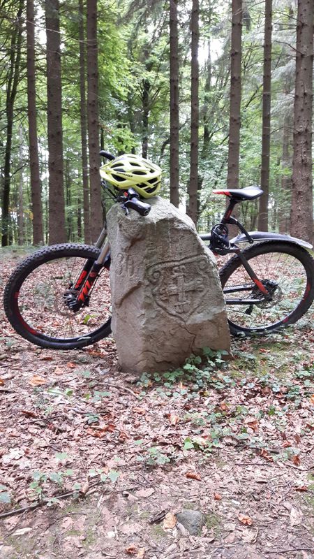 MTB - Bad Pyrmont Hohe Stolle-
Grenzweg-Schlangenweg