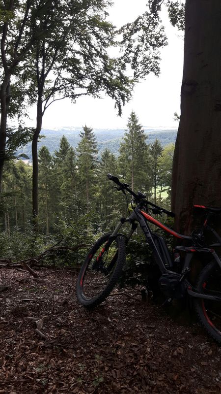 MTB - Bad Pyrmont Hohe Stolle-
Grenzweg-Schlangenweg