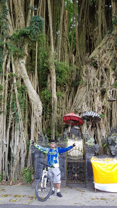 Lengthy bike tour from Tunjuk to Jatiluwih