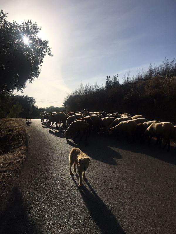 loulé - bb Quinta dos Tesoures