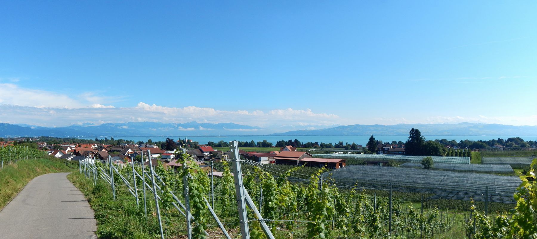 Panorama-Runde ab Wasserburg