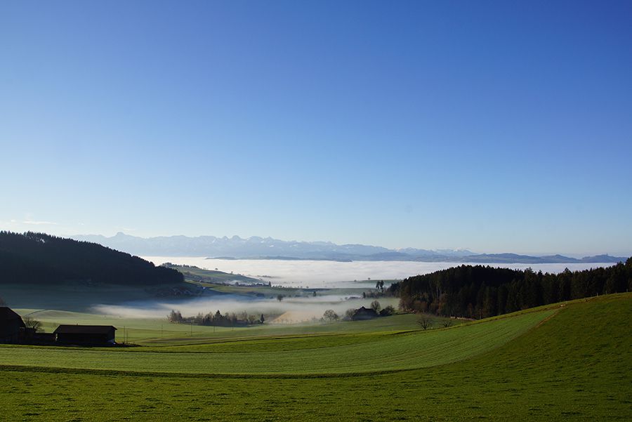 Worbberg - Schafhausen