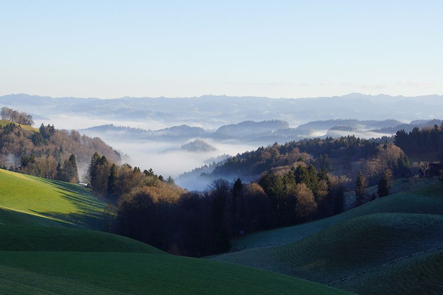 Worbberg - Schafhausen