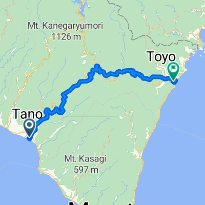 Tano toyo