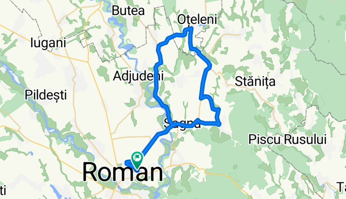 roman doljesti oteleni bara roman