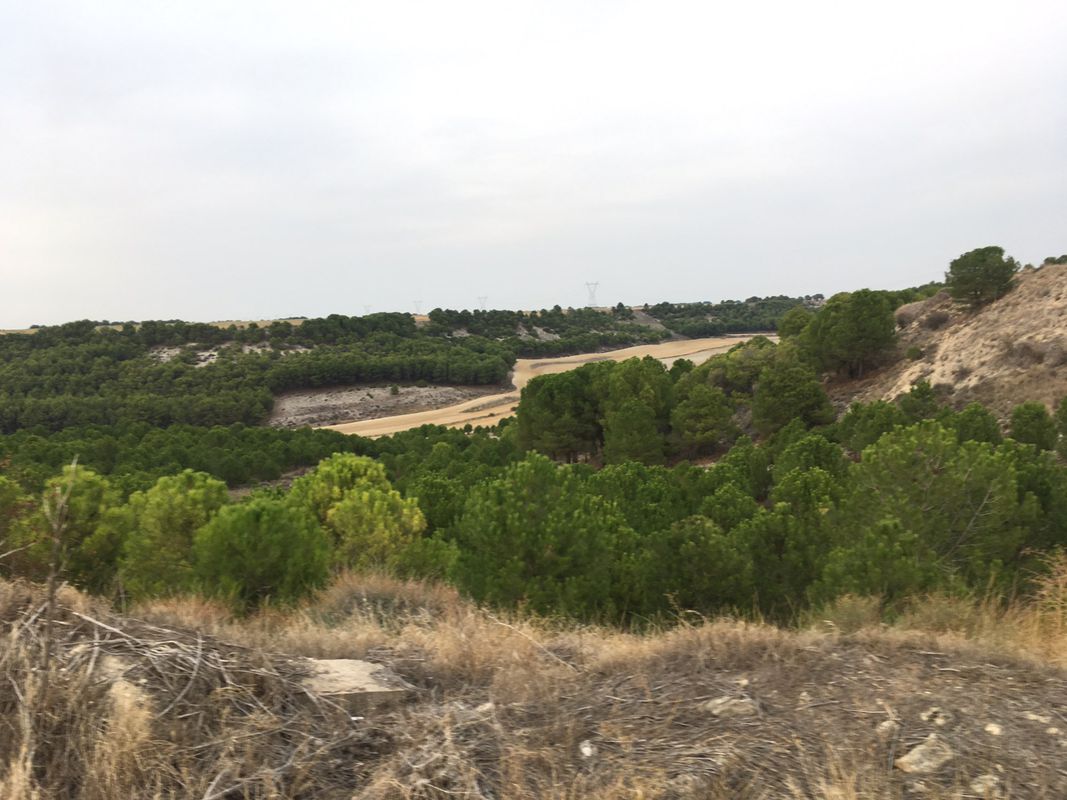 Tordesillas-Bercero-Tordesillas